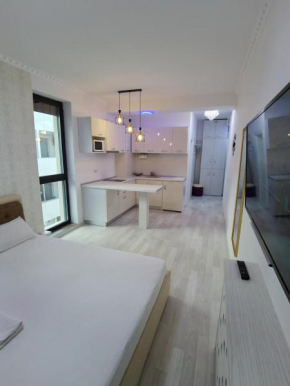 Panoramis Studio Beachfront Mamaia Nord